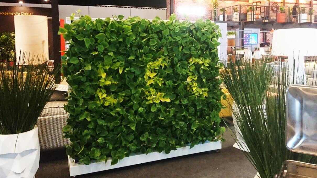 Green walls indor and outdoor, vertical farms